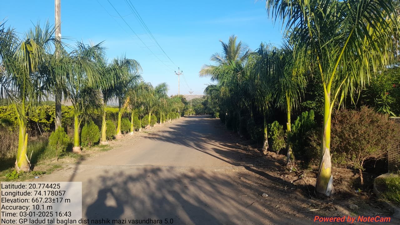 WhatsApp Image 2025-01-16 at 18.41.57_1978ac1c