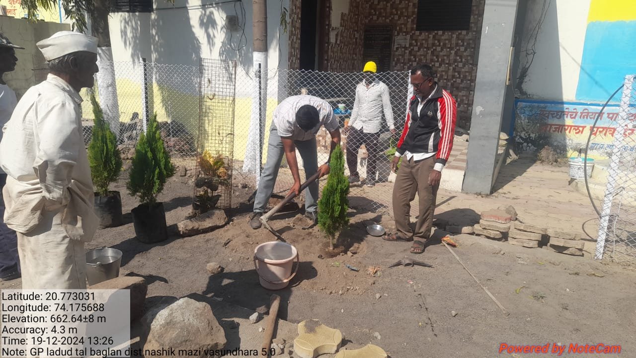 WhatsApp Image 2025-01-16 at 18.44.20_fe214b78