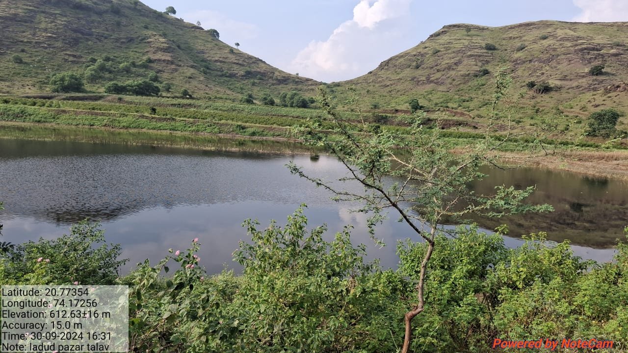 WhatsApp Image 2025-01-16 at 18.49.14_ce4ef81f